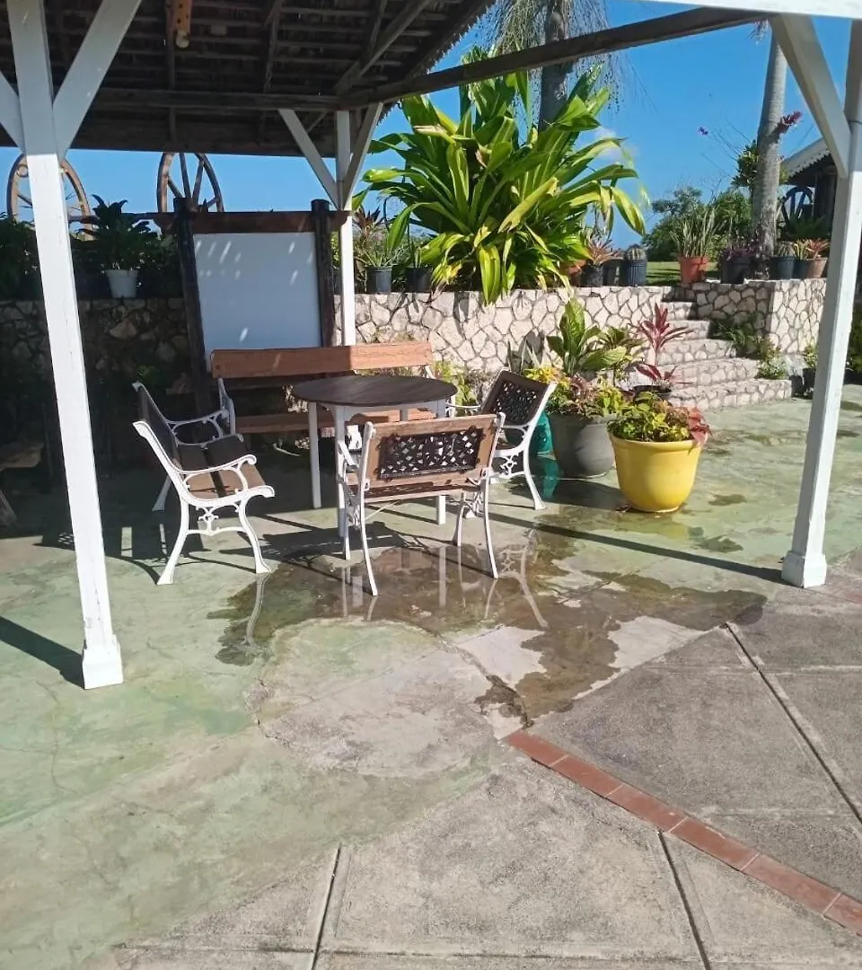 Villa Escape To Parakeethill B&B Negril