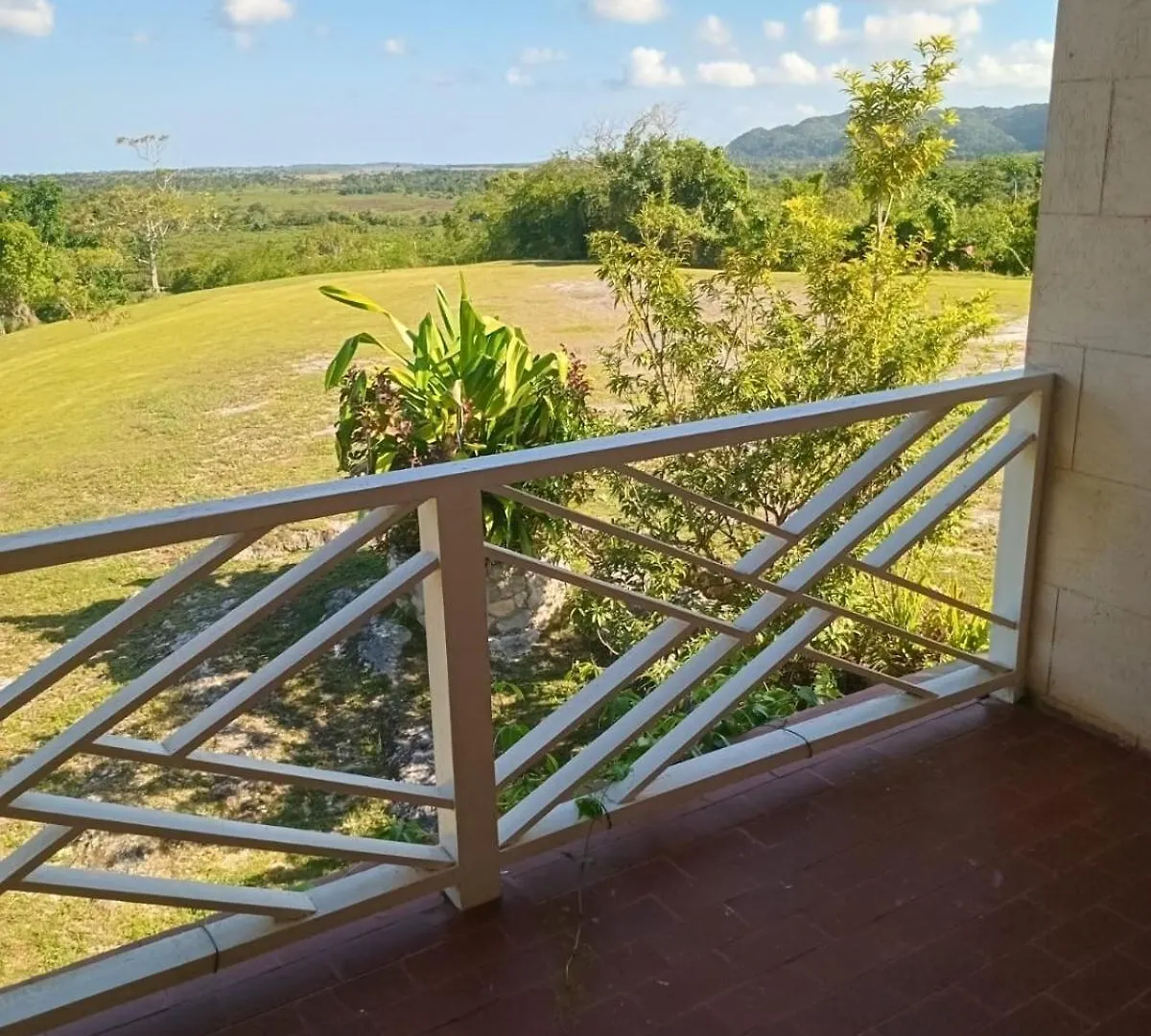 Escape To Parakeethill B&B Negril